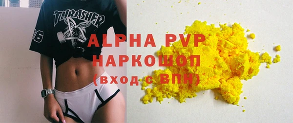 шишки Гусиноозёрск