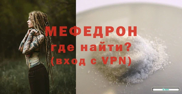 шишки Гусиноозёрск