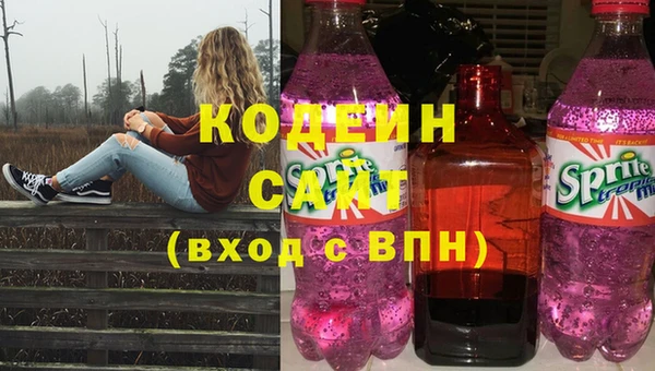 шишки Гусиноозёрск