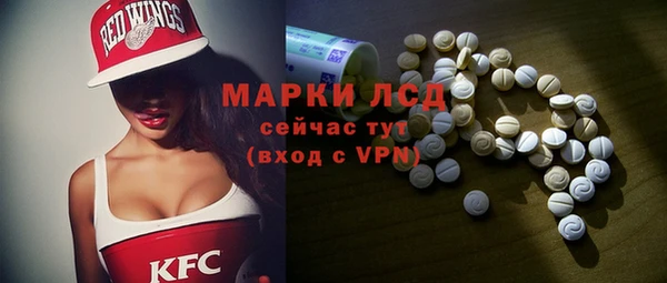 шишки Гусиноозёрск