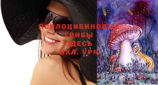 бошки Гусь-Хрустальный