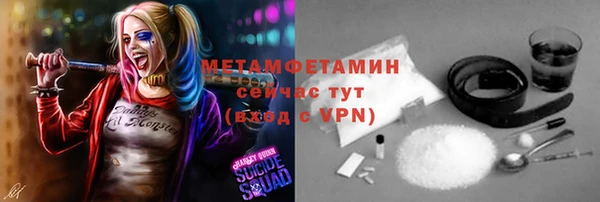 шишки Гусиноозёрск