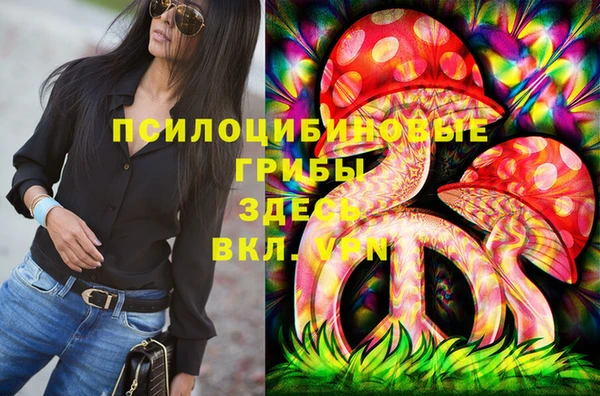 бошки Гусь-Хрустальный