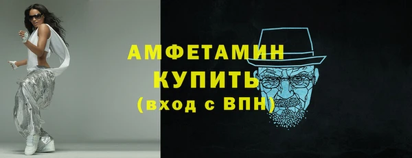 шишки Гусиноозёрск