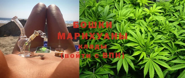 шишки Гусиноозёрск
