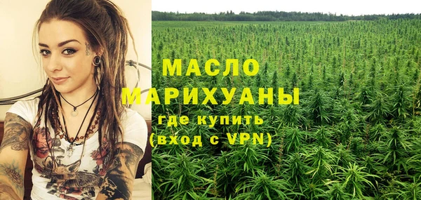 шишки Гусиноозёрск