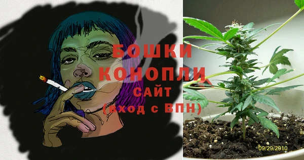 не бодяженный Гусев