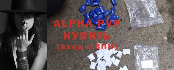 шишки Гусиноозёрск