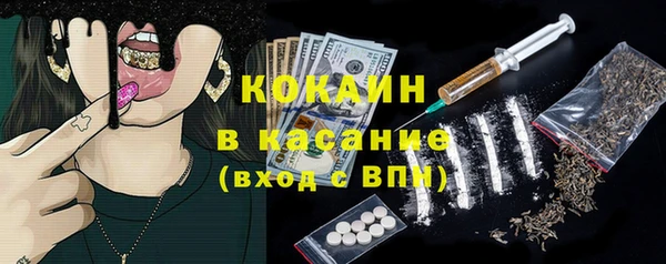 шишки Гусиноозёрск