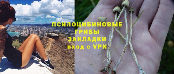шишки Гусиноозёрск